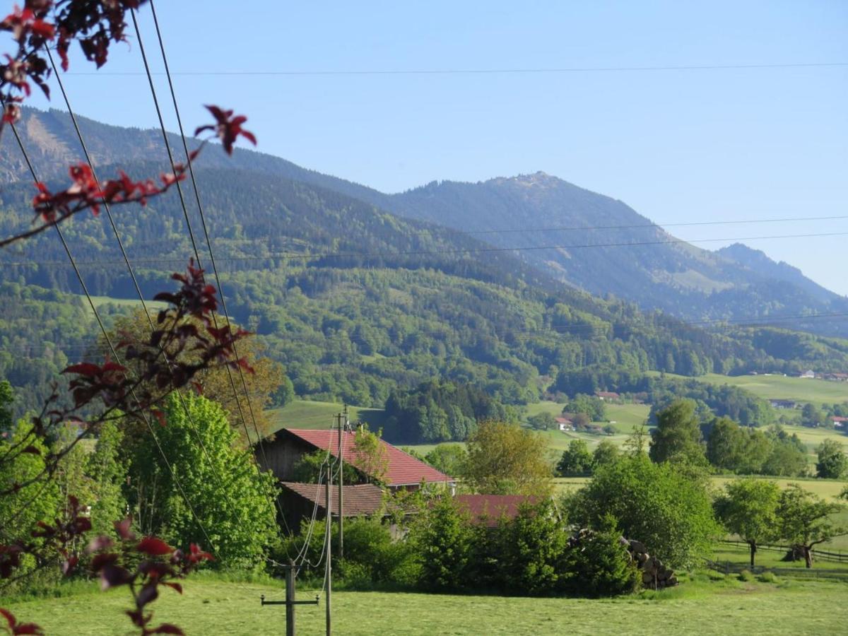 Ferienwohnung Riesenblick Frasdorf Zewnętrze zdjęcie